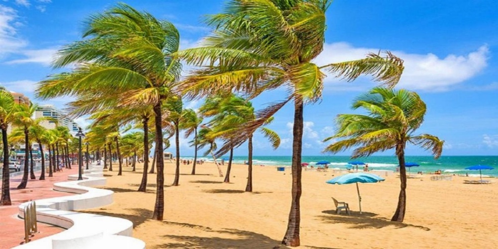 Crowne Plaza Hotel & Resorts Fort Lauderdale Airport/ Cruise Image 22
