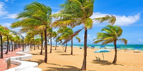 Crowne Plaza Hotel & Resorts Fort Lauderdale Airport/ Cruise image 22
